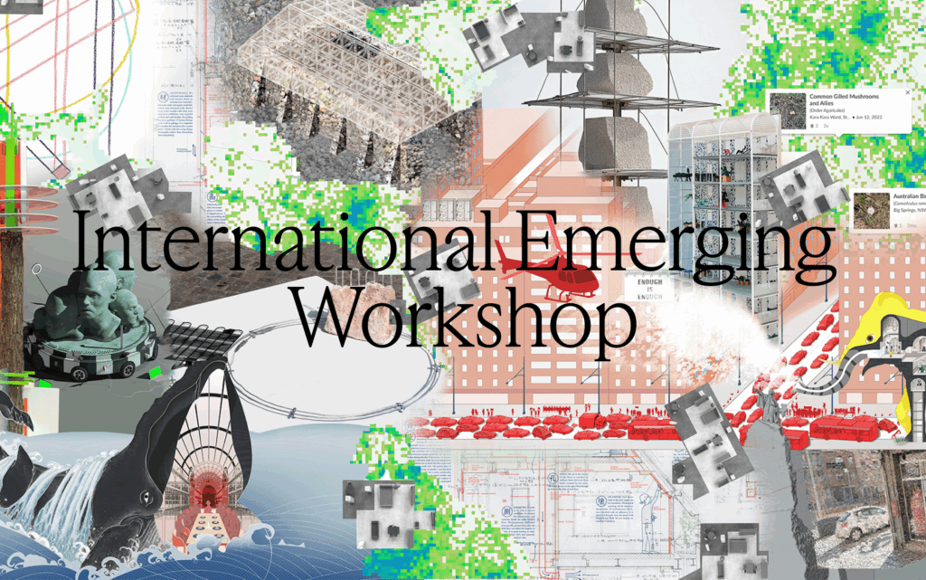 Launch of the International Emerging Workshop ‘A Wicked Laboratory ...