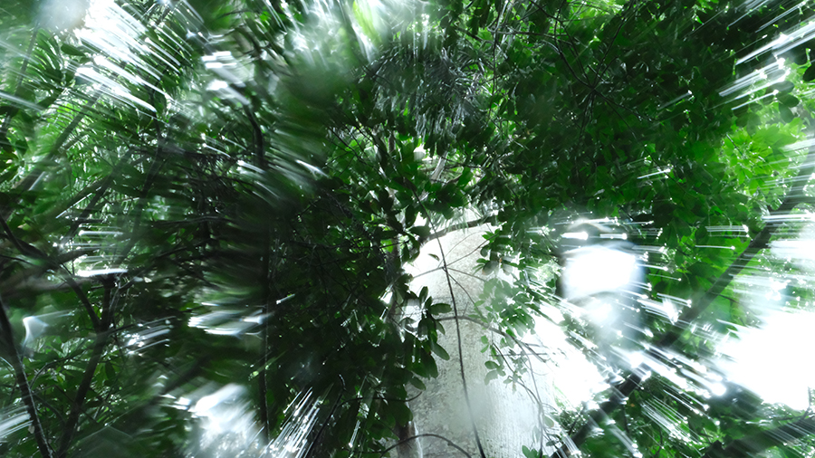 Imani Jacqueline Brown